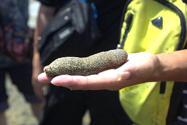 IMG_3717.jpg IMG_3717.jpg