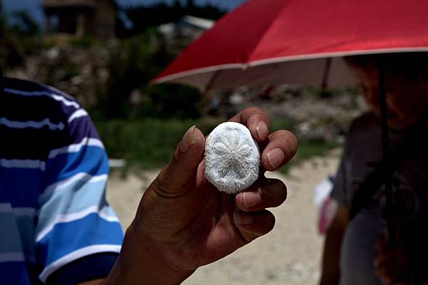 IMG_3724.jpg IMG_3724.jpg