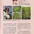 農博雜誌vol.06.P4.jpg