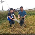 中央畜產會田間抽樣--103年第二期水稻2.jpg