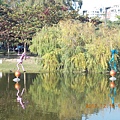 101.12.中央公園3.JPG