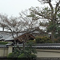 京都-嵐山 天龍寺 08.JPG