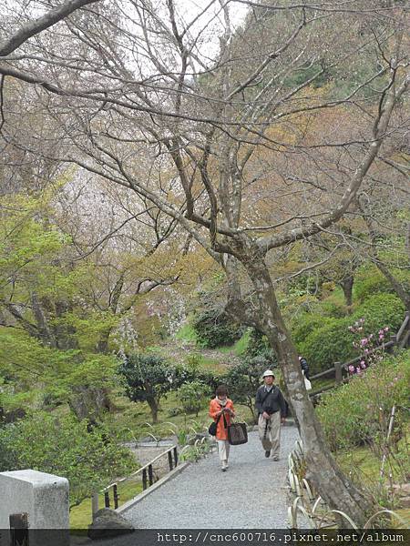 京都-嵐山 天龍寺 04.JPG