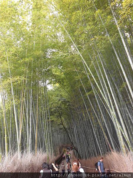 京都-嵐山 役場町 06.JPG