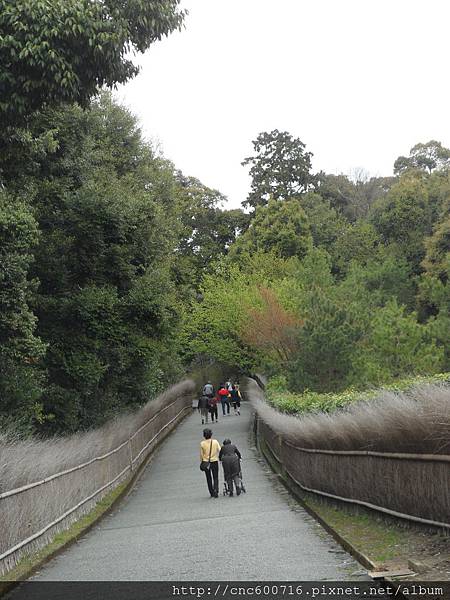 京都-嵐山 役場町 04.JPG