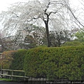 京都-嵐山 渡月橋 04.JPG