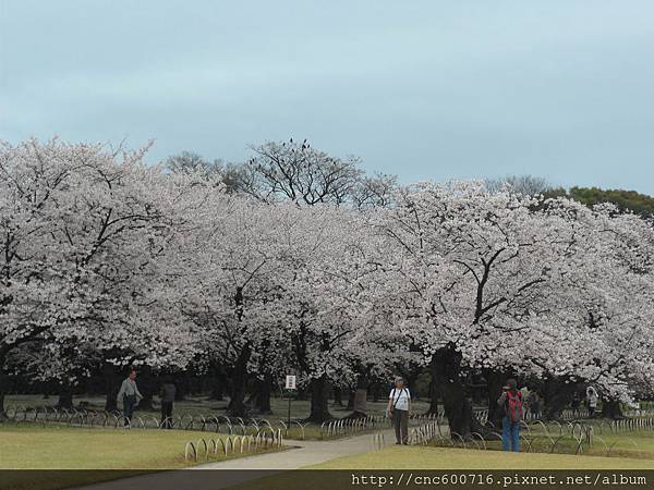 岡山-後樂園 09.JPG