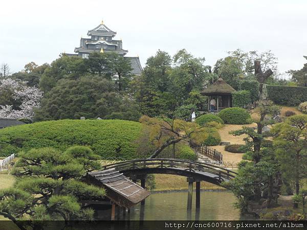 岡山-後樂園 14.JPG