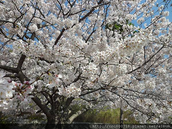 神戶-須磨浦公園 04.JPG