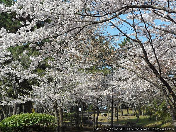 神戶-須磨浦公園 06.JPG