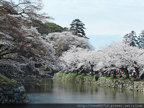 滋賀-彥根城 玄宮園 12.JPG