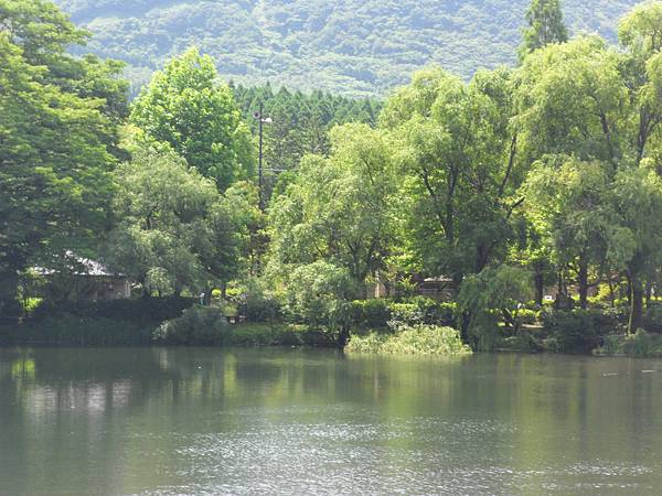 熊本-湯布院 金鱗湖 03.JPG