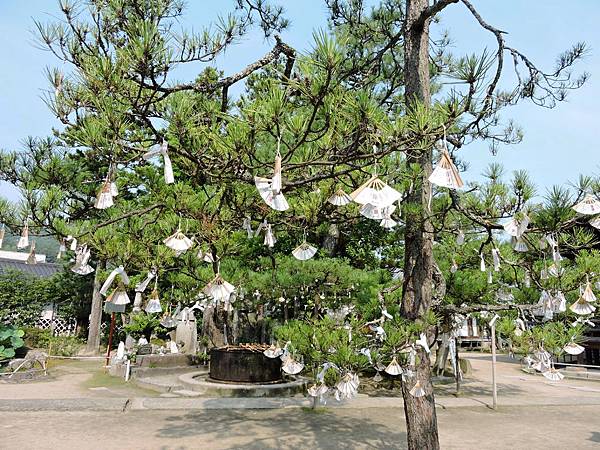 京丹後-智恩寺 09.JPG