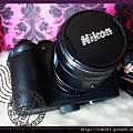 Nikon COOLPIX P500  (3)