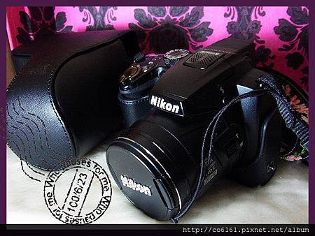 Nikon COOLPIX P500 (4)