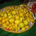 IMG_0060