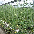 IMG_0051