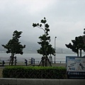 淡水碼頭邊_f4bbscd