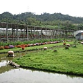 華山農場_c079scd