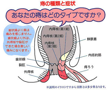 pKCWn6KZkKOVp6w.jpg pKCWn6KZkKOVp6w.jpg