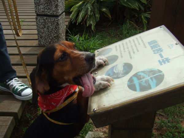 DSCF0722.jpg