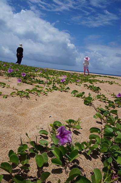 0622 豔夏花火菊島放空行 Dsc Jpg 可卡的臉慢慢的在改變 痞客邦 0622 豔夏花火菊島放空行 Dsc Jpg 可卡的臉慢慢的在改變 痞客邦