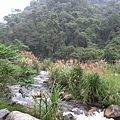 IMG_8197.JPG
