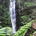 IMG_8200.JPG