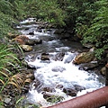 IMG_8080.JPG