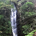 IMG_8199.JPG