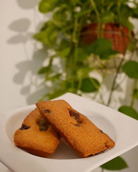 IMG_3799.JPG IMG_3799.JPG