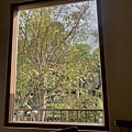 IMG_4071.jpg