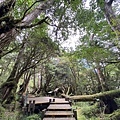 IMG_3424.JPG