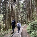 IMG_3507.JPG