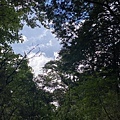 IMG_3616.JPG