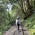 IMG_3621.JPG