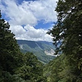IMG_3471.JPG