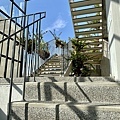 IMG_4708.jpg