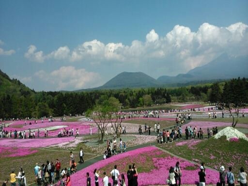 1431268680045 1431268680045