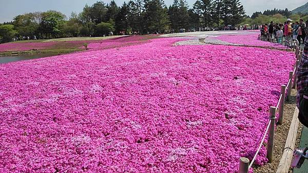 10995669_910593165670966_27594995832198823_n[1]