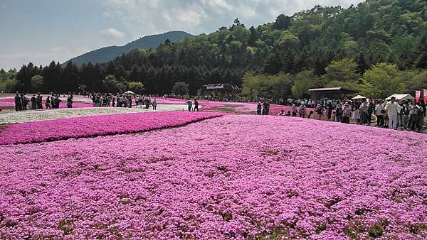 11245492_910593099004306_2479783761179898020_n[1]