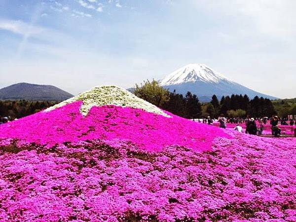 11062715_804059712996918_3614738746295864989_n[1]