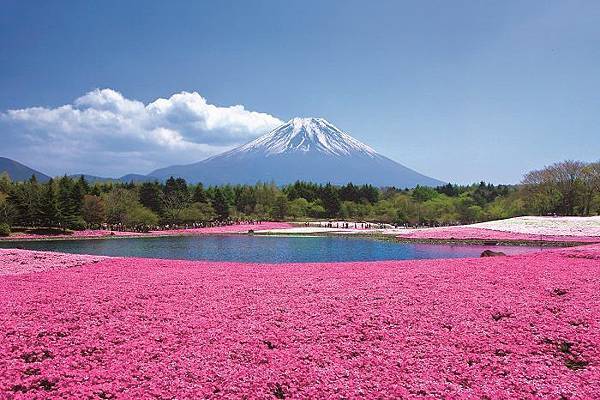 11020749_804059599663596_2652305063195756873_n[1]