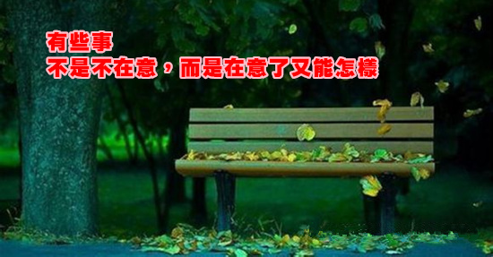 1154351067_o.jpg 1154351067_o.jpg