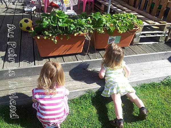 關於au pair 關於au pair