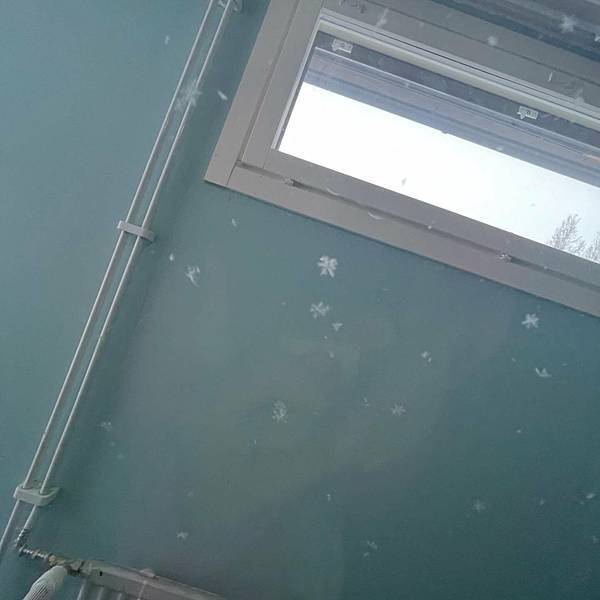 看完《進擊的巨人》動畫了 / 近況更新 / 軍眷生活 看完《進擊的巨人》動畫了 / 近況更新 / 軍眷生活