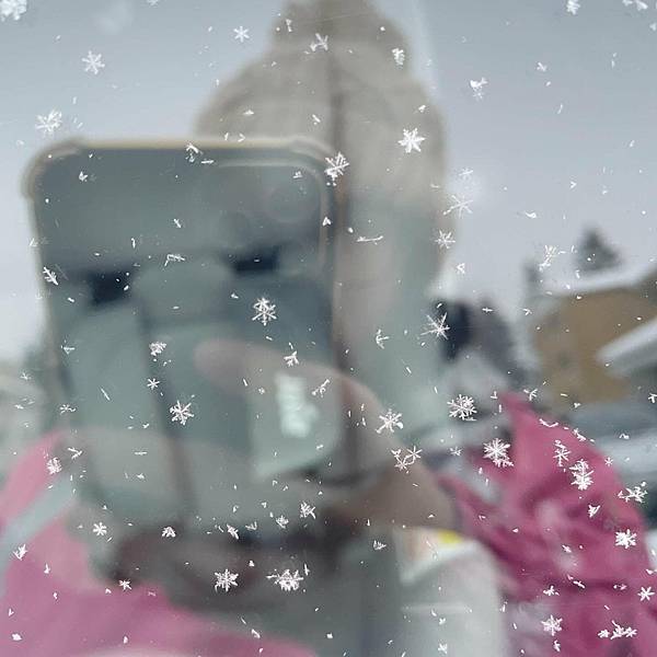 看完《進擊的巨人》動畫了 / 近況更新 / 軍眷生活 看完《進擊的巨人》動畫了 / 近況更新 / 軍眷生活