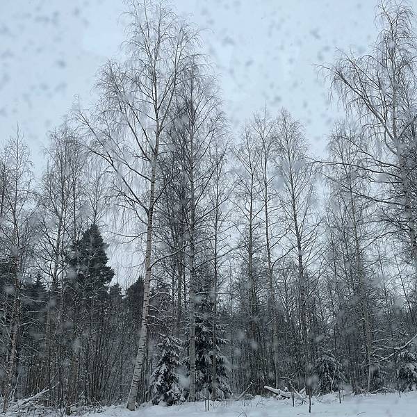 看完《進擊的巨人》動畫了 / 近況更新 / 軍眷生活 看完《進擊的巨人》動畫了 / 近況更新 / 軍眷生活