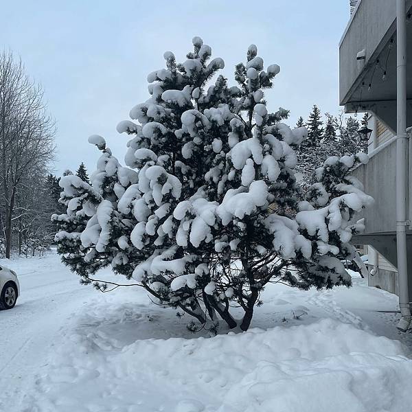 看完《進擊的巨人》動畫了 / 近況更新 / 軍眷生活 看完《進擊的巨人》動畫了 / 近況更新 / 軍眷生活