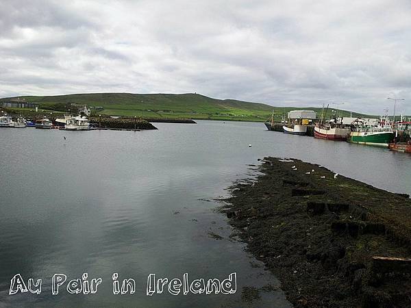 開始我的Dingle第二天行程 Coco在愛爾蘭丁格爾D